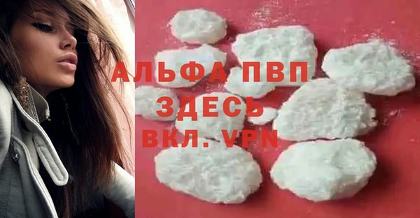 крисы Алзамай