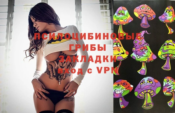прущие крисы Алексеевка