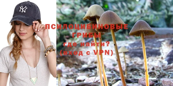 прущие крисы Алексеевка