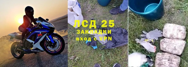 крисы Алзамай